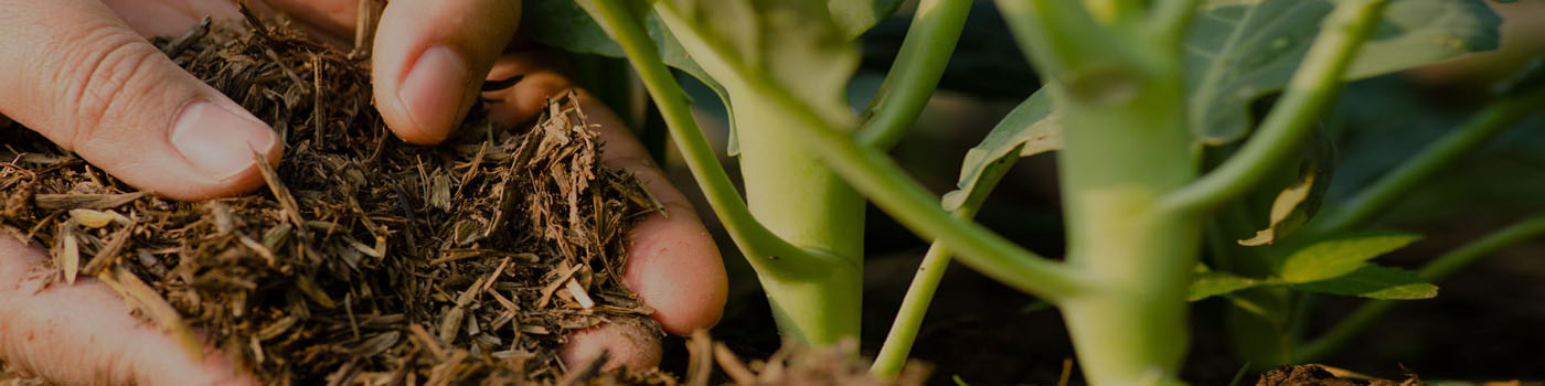 Winkfield Bagged Organic Compost